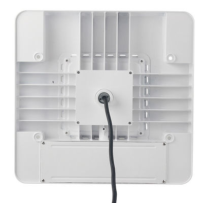 Света сени DLC IP65 130LM/W 277V белые коммерчески